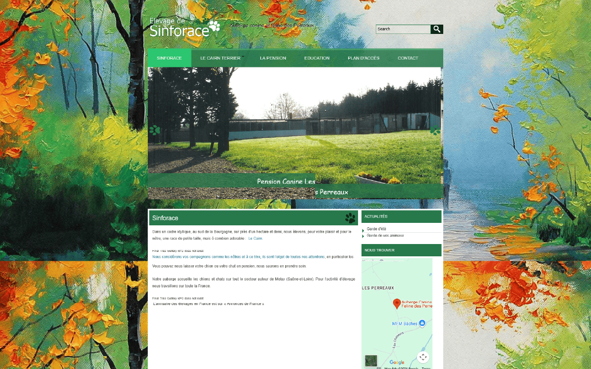 Ancienne page d'accueil du site SINFORACE avant sa refonte