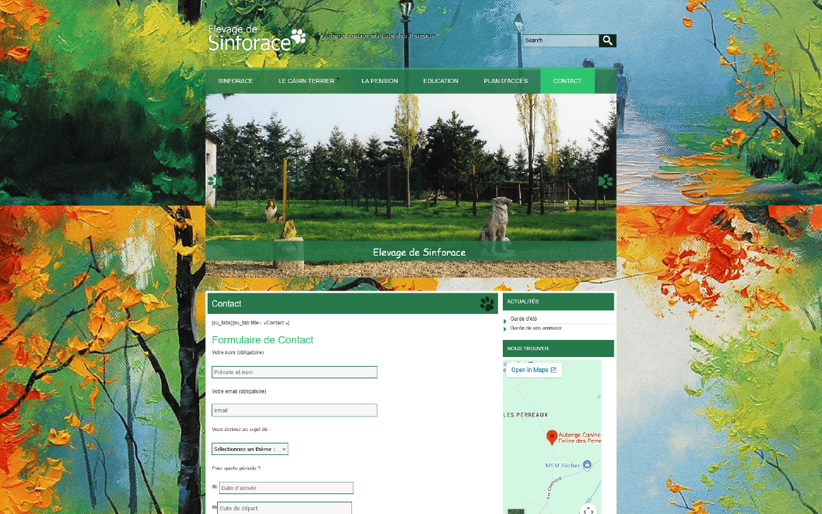 Ancienne page de contact du site SINFORACE